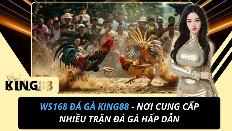 WS168 Đá Gà